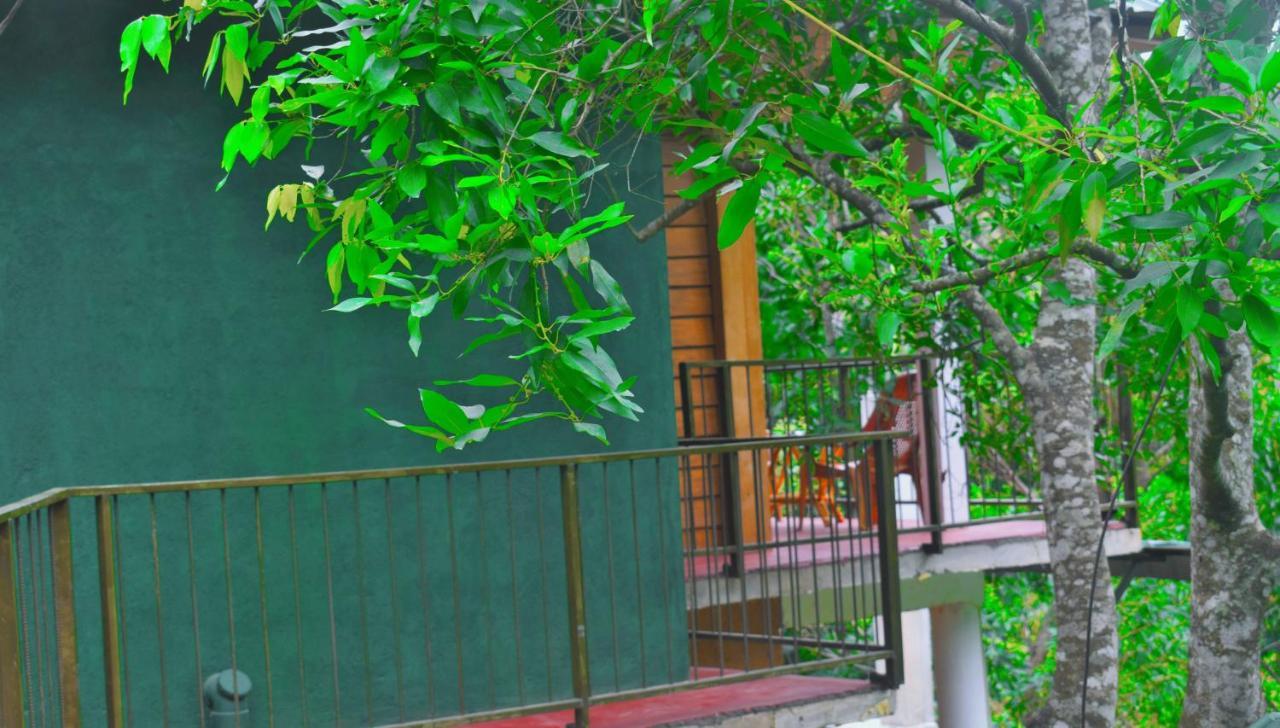 Green Cottage 엘라 외부 사진